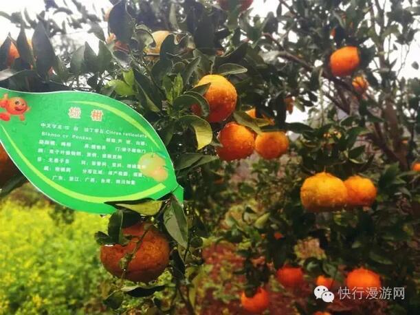 QQ截图20161130091541