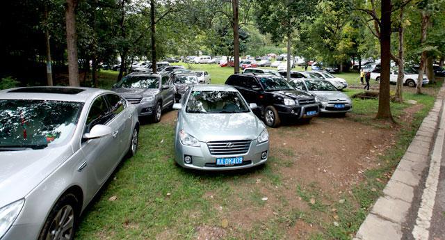 景区公路沿线游客车辆有序停放 (1)