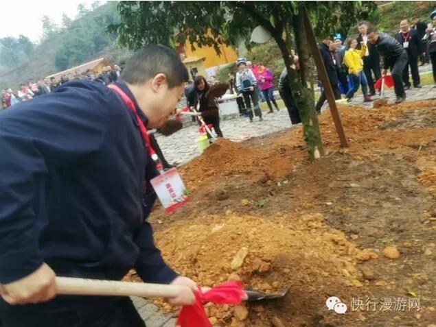 QQ截图20161130091108