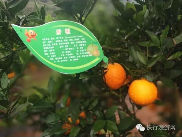 QQ截图20161130091506