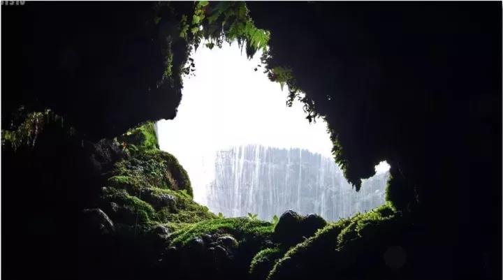 微信图片_20171109091347