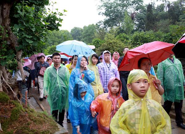 游客雨中观景