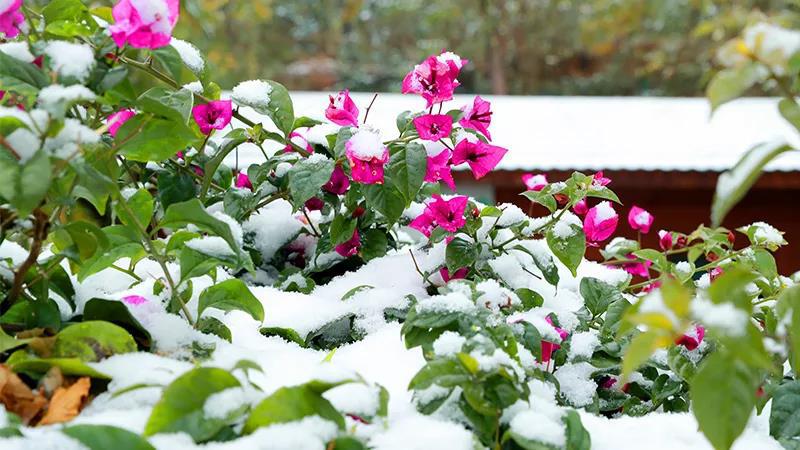 微信图片_20190102150049