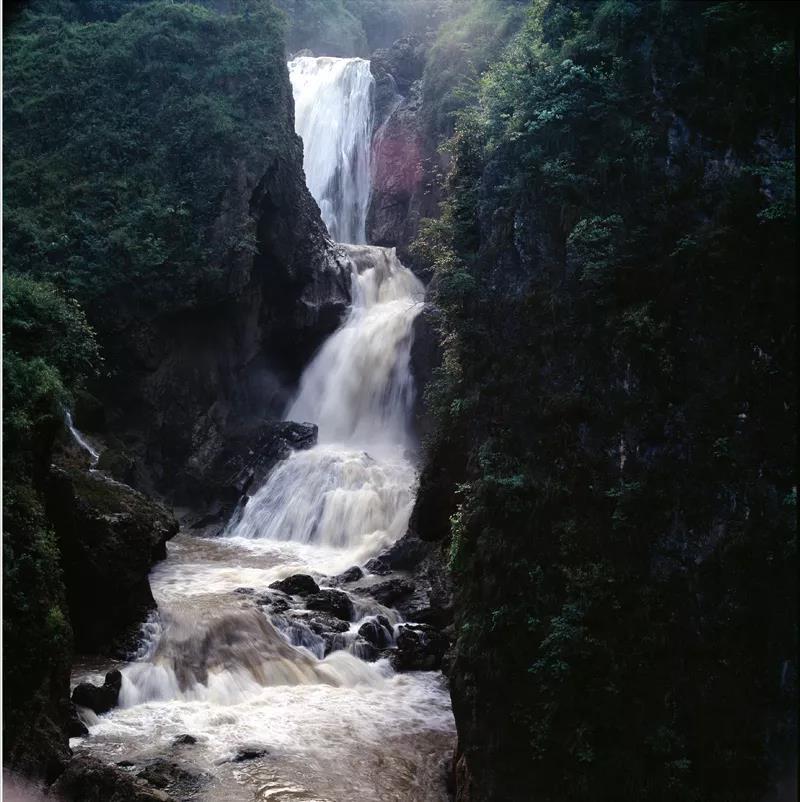 微信图片_20180827101311