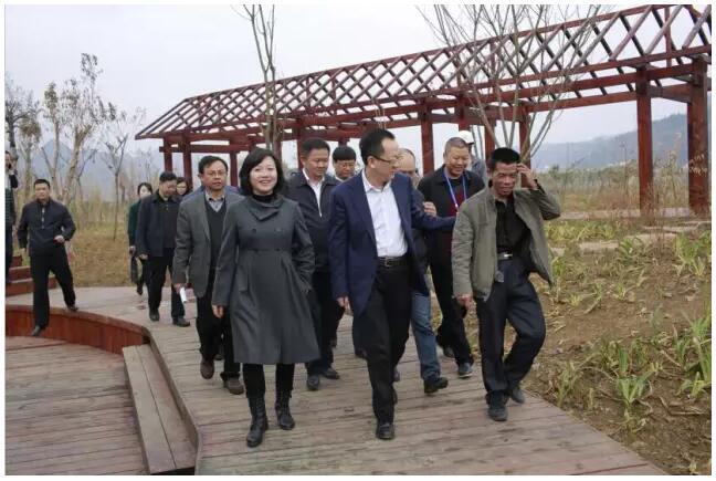 安顺市委副书记、市长曾永涛带队在黄果树景区调研工作