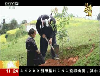 微信图片_20170928094706