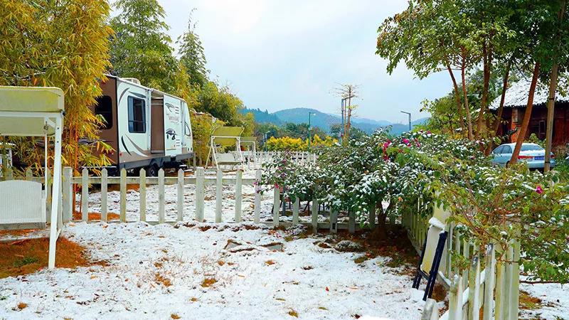 微信图片_20190102150104