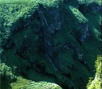 微信图片_20180827101317