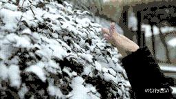 微信图片_20190102145826