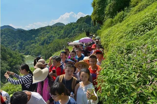 QQ截图20161009085301