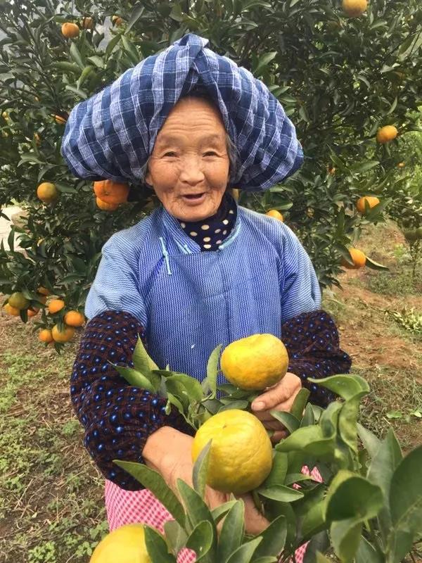 微信图片_20171129093010