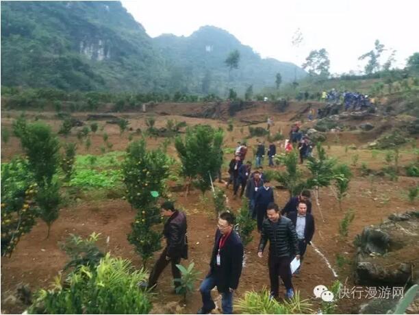 QQ截图20161130091636