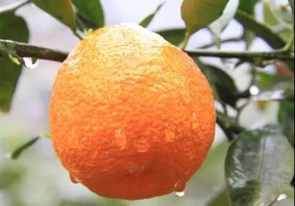 微信图片_20180828094421