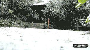 微信图片_20190102145947