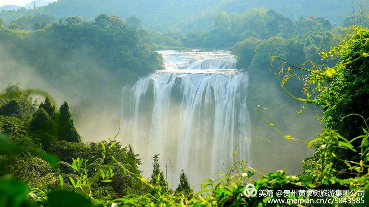 41764bd82df14b63bdcf6514b8a165ae