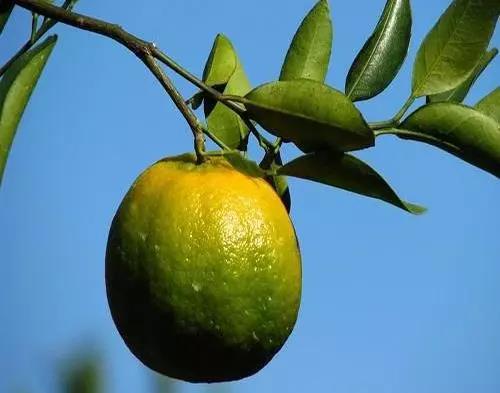 微信图片_20180828094417