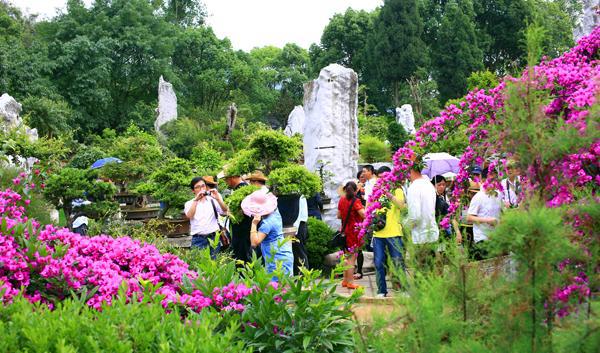 景区绿化美化景观