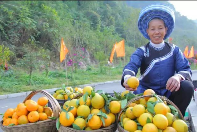 微信图片_20171127093615