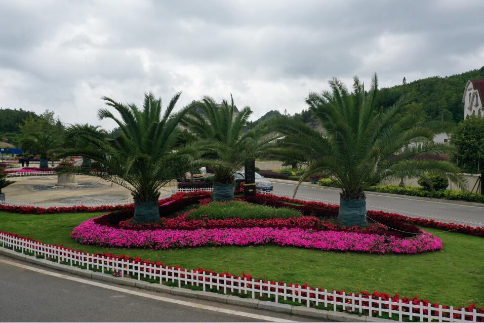 QQ截图20210626145713