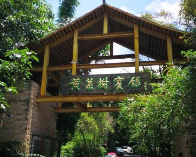 QQ截图20190807145512